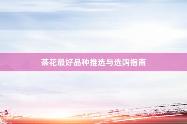 茶花最好品种推选与选购指南