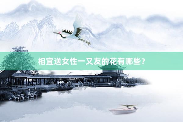 相宜送女性一又友的花有哪些？