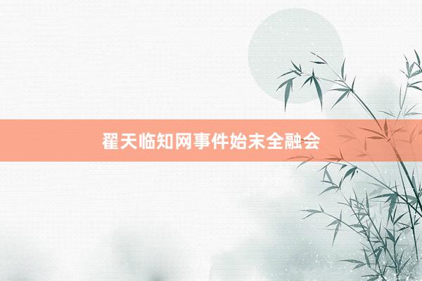 翟天临知网事件始末全融会