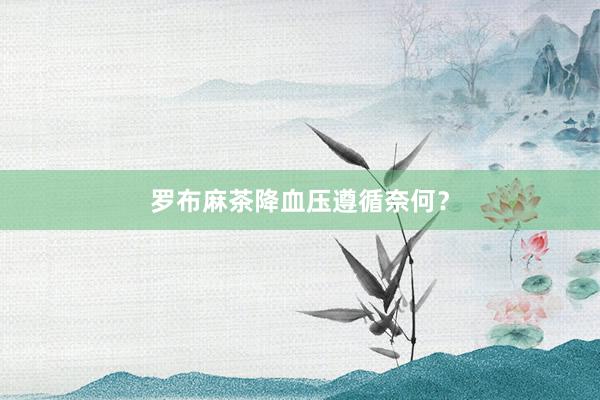 罗布麻茶降血压遵循奈何？