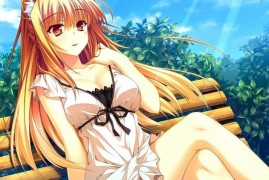 蓝色警戒光盘版,一、 如何安装光盘版？