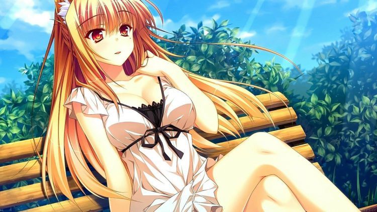 蓝色警戒光盘版,一、 如何安装光盘版？